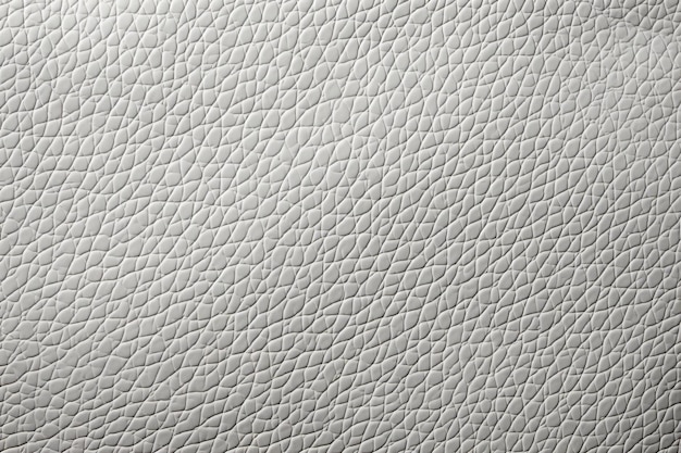 CloseUp White Leather Texture Dark and Silver Color Background Detail