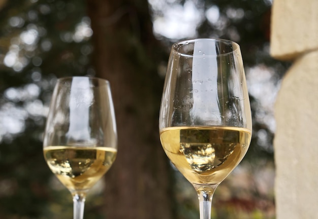 Closeup with glasses of white wine in natural environment