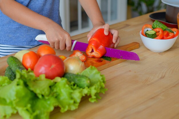 Closeup woman hands chopping cucumber vegetables by knife