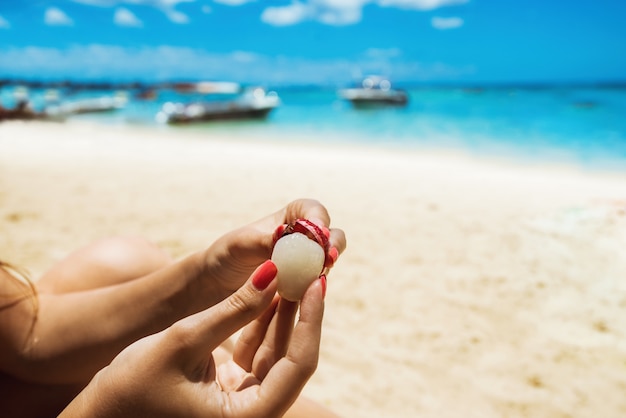 Closeup of woman hands holding asian exotic lychee fruit