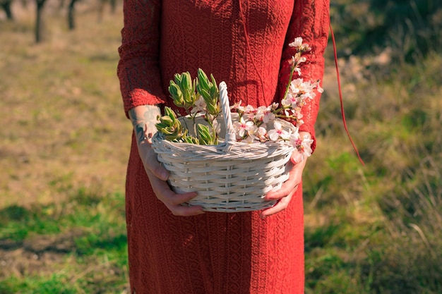 Closeup of a woman holding a white basket with almond tree flowers