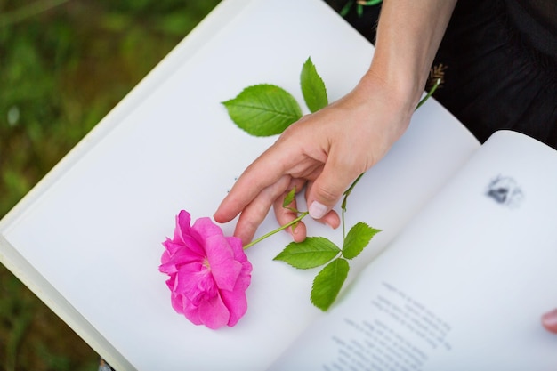 Closeup of a woman's hand holding a rose on a book in the park