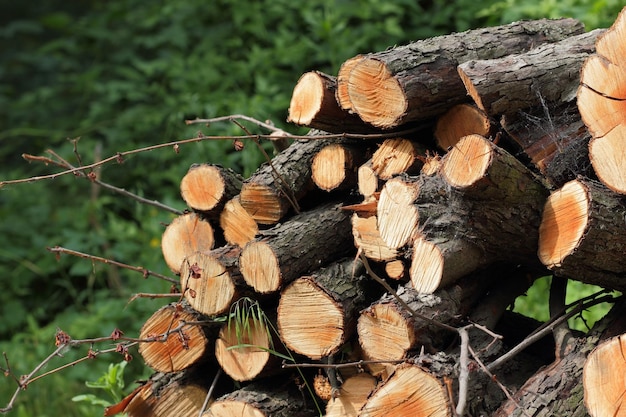 Closeup of wood chunks chopped as firewood lying on the ground Wooden logs lying on the ground outdoors