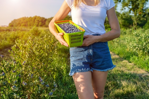 Closeup of young female farmer holds of basket of berries in hands on farm