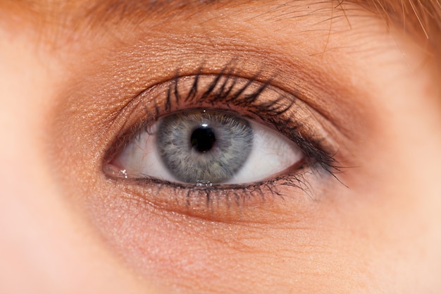 Closeup of young woman blue eye with day makeup