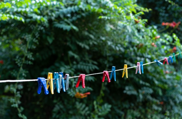 Clothesline with clothespins for drying clothes