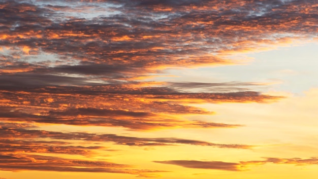 Cloud scape background at sunrise time