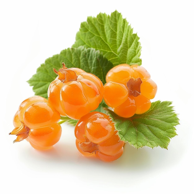 Cloudberry Fresh Close Up on White Background