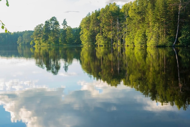 A Clouds are reflected in the forest lake in summer