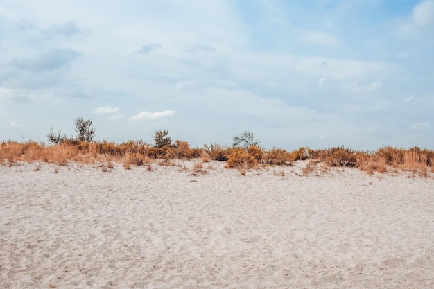 Clouds on blue sky grass and sand