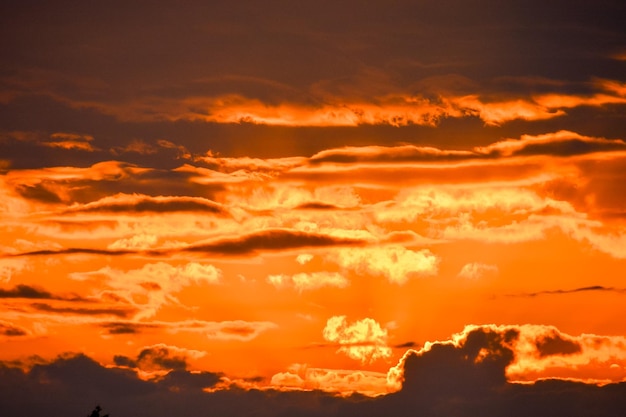 Cloudscape, Colored Clouds at Sunset near the Ocean