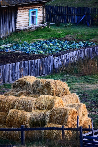 cloudscape field hay rolls sky clouds autumn, gloomy weather agriculture