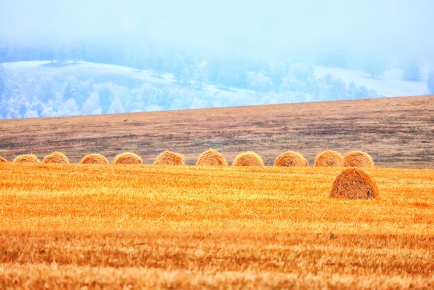 cloudscape field hay rolls sky clouds autumn, gloomy weather agriculture