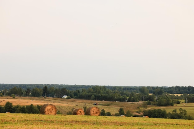 Photo cloudscape field hay rolls sky clouds autumn, gloomy weather agriculture