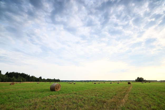 cloudscape field hay rolls sky clouds autumn, gloomy weather agriculture