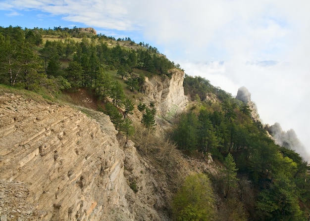 Cloudy Aj-Petri Mountain top view (Crimea, Ukraine)