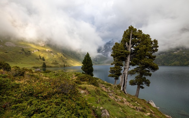 Cloudy day at the Lake