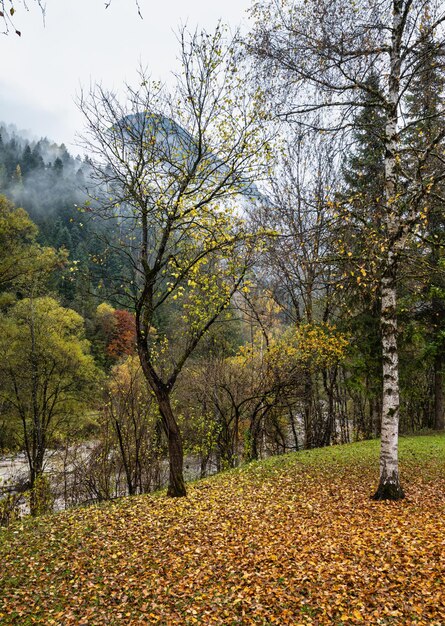 Cloudy and foggy autumn alpine mountain scene Austrian Lienzer Dolomiten Alps