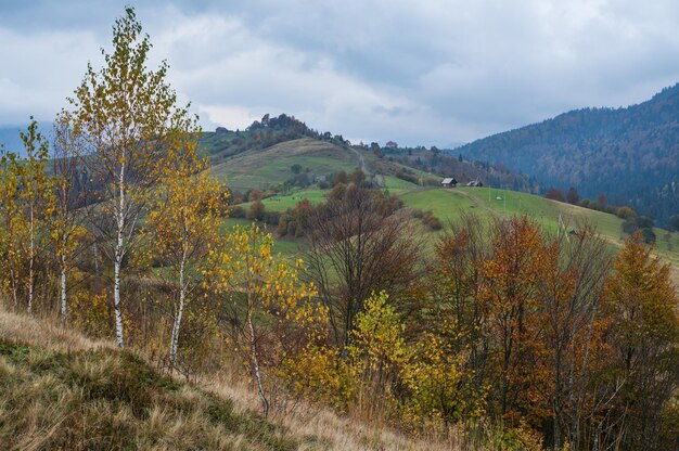 Cloudy and foggy day autumn mountains scene Peaceful picturesque traveling seasonal nature and countryside beauty concept scene Carpathian Mountains Ukraine