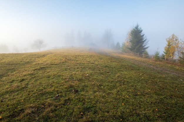 Cloudy and foggy morning late autumn mountains scene Peaceful picturesque traveling seasonal nature and countryside beauty concept scene Carpathian Mountains Ukraine