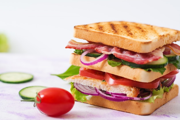 Club sandwich with chicken breast, bacon, tomato, cucumber and herbs