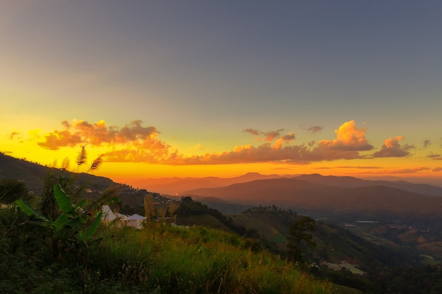 Clump of grass  with sunset background,Mountain mist and sunrise in winter