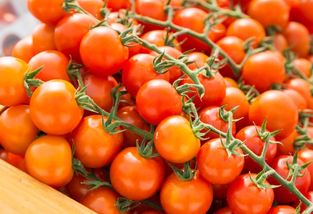 cluster of red  cherry tomatoes for background