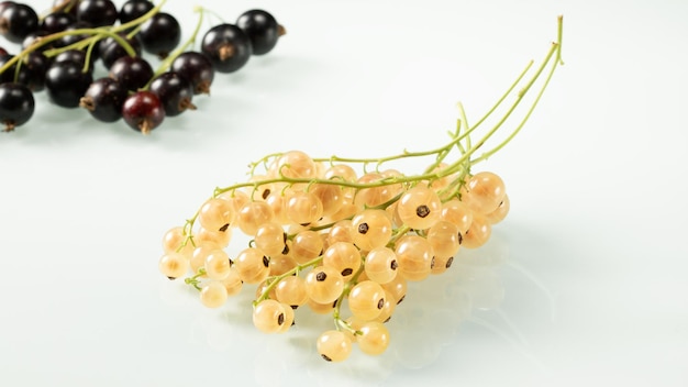 Clusters of yellow and black currants on a white background closeup