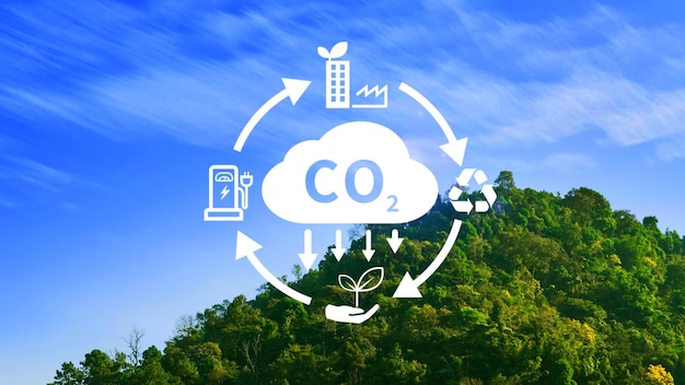 CO2 reducing icon with circular for decrease CO2 carbon footprint and carbon credit to limit global warming from climate change Bio Circular Green Economy concept