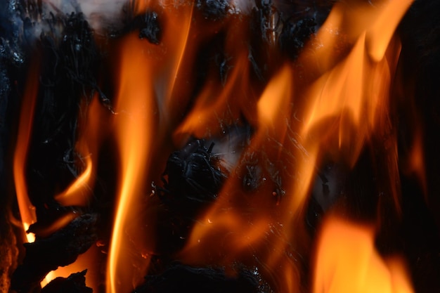 Photo coals made from charcoal for cooking satay and grilled meat