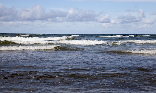 The coast of the Baltic sea