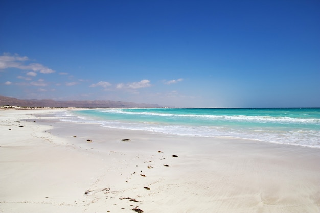 The coast of Indian ocean, Socotra island, Yemen