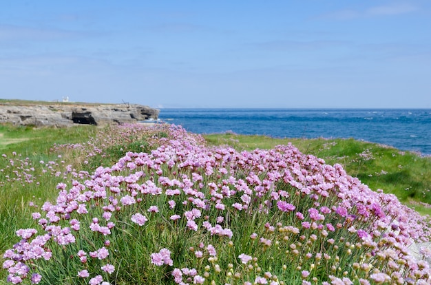 The Coast Of Isle Of Portland