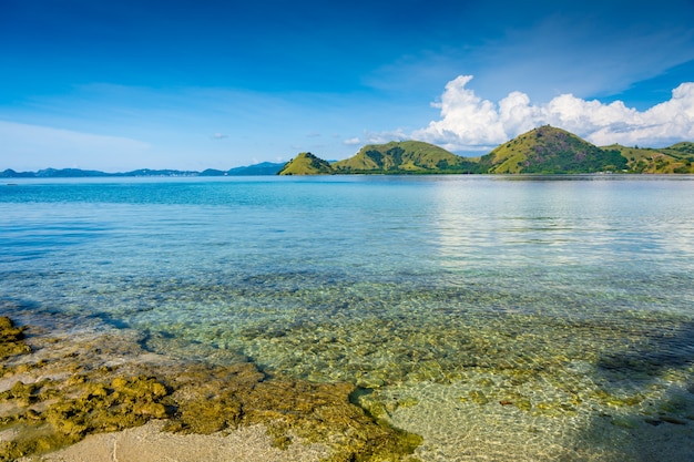 The Coast of Kelor Island