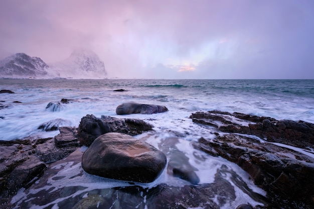 Coast of Norwegian sea on rocky coast in fjord on sunset