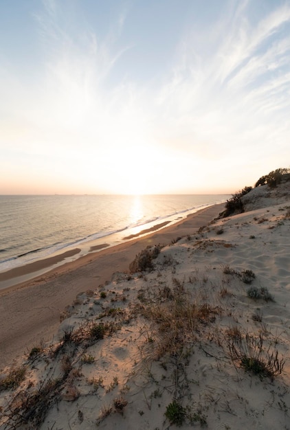 Coast with cliffs dunes pine trees green vegetationThe most beautiful beach in Spain