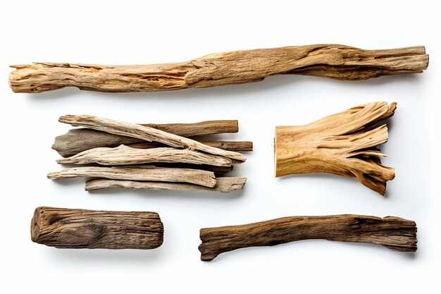 Coastal Beauty Various Textured Pieces of Driftwood on White Background