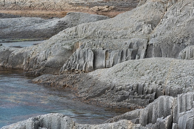 Coastal cliffs formed by columnar basalt at low tide