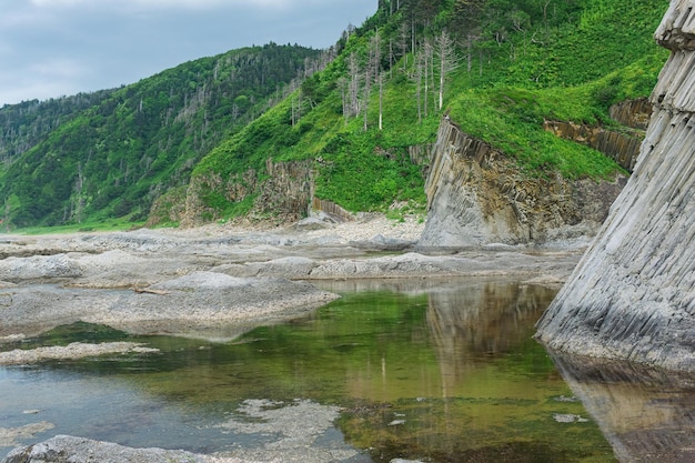 Coastal landscape beautiful columnar basalt cliff on the wooded coast of Kunashir island