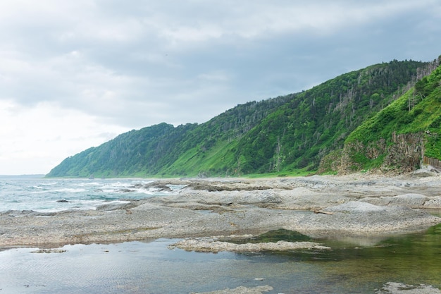 Coastal landscape panorama with beautiful columnar basalt cliff on the wooded coast of Kunashir island