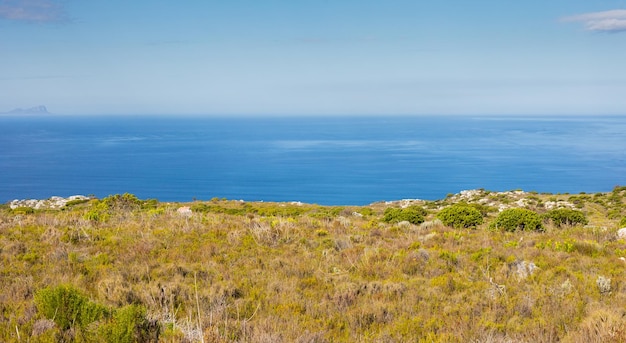 Coastal mountain landscape with fynbos flora in Cape Town South Africa