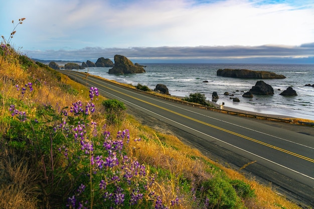 Coastal road overlooking meyers creek beach in oregon with wildflowers