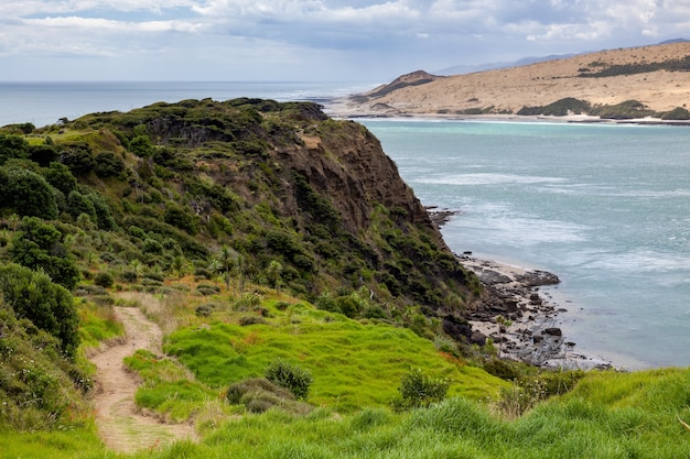 Coastal Walk Arai-Te-Uru Recreation reserve in Omapere in New Zealand