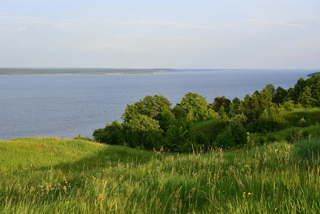 coastline covered with green grass and green trees with blue river copy space