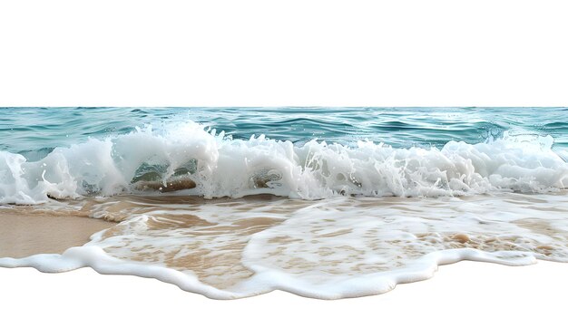 Photo coastline with foamy waves isolated on white background