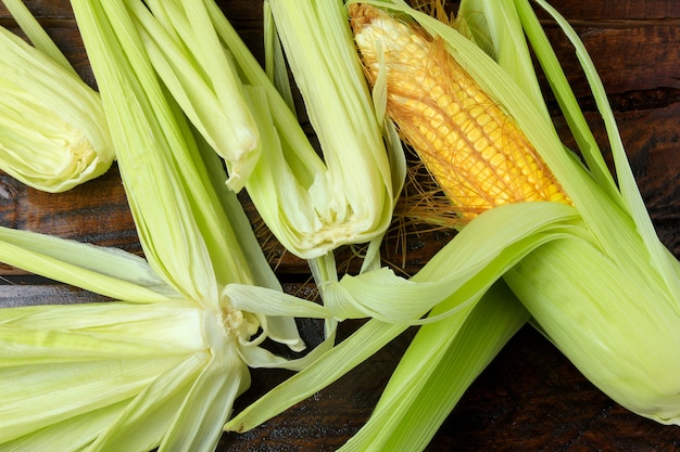 Cob of raw corn, with straw, harvested from plantation, on rustic wooden table. 