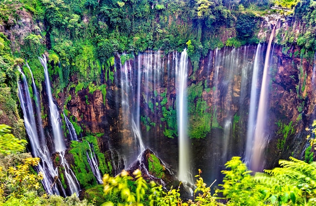 Coban Sewu Waterfalls in East Java Indonesia