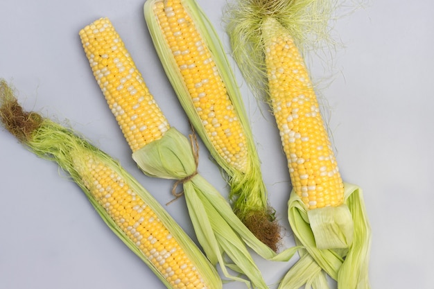 Cobs of raw corn with leaves and corn silk. Gray background. Flat lay