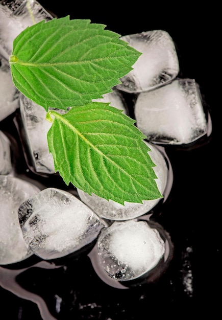 Cocktail preparation Ice cube with mint leaves on black background