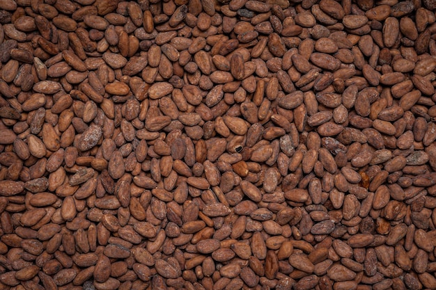 cocoa beans as background. Cocoa products